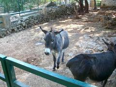183 D21 SANARY SUR MER 1_000059